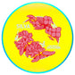 Plasma (Soft) Proxy - Silva Saarinen Team Series